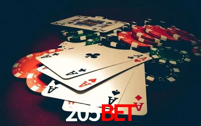 cassino 205bet
