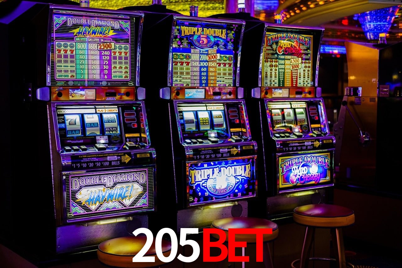 Programa VIP 205bet